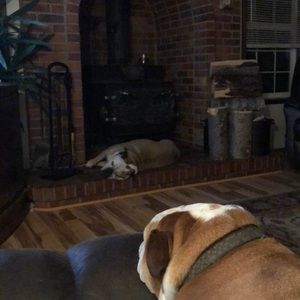 Meet your Posher, Tish